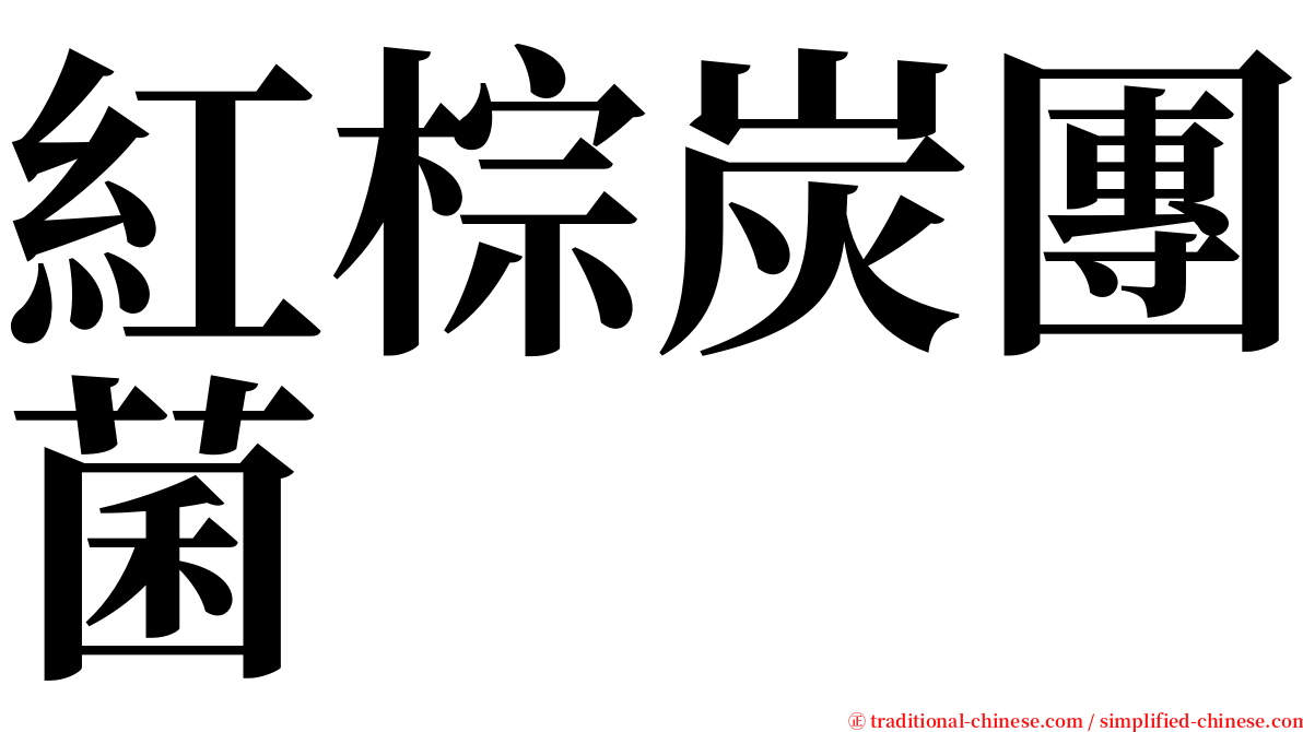 紅棕炭團菌 serif font