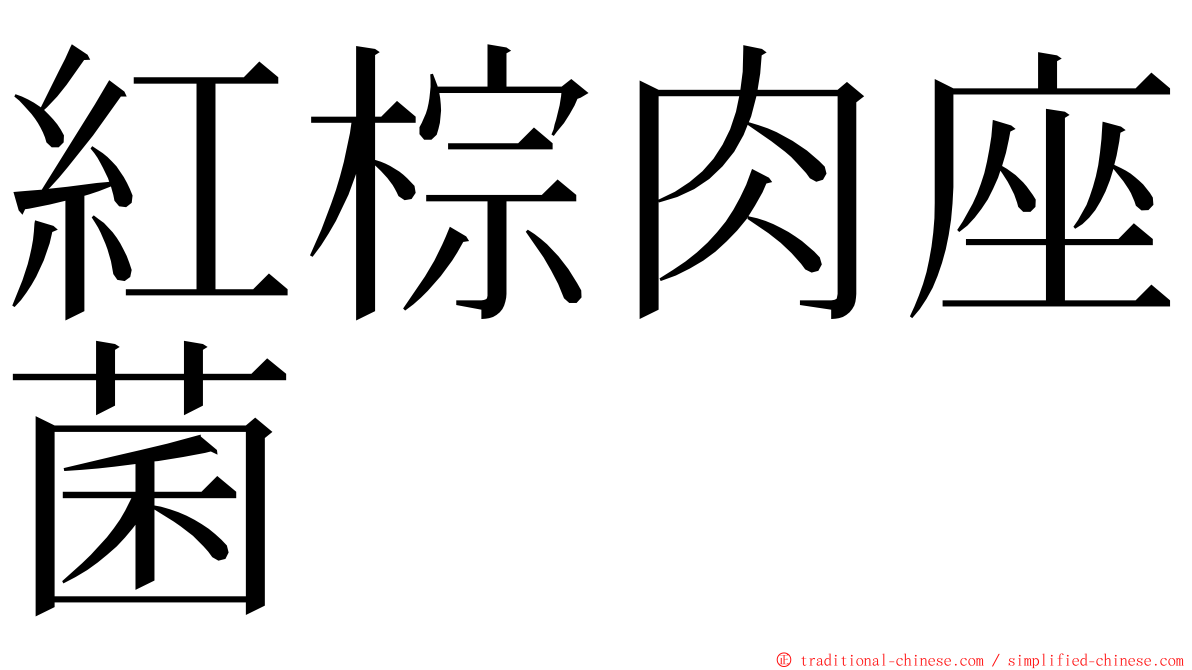 紅棕肉座菌 ming font