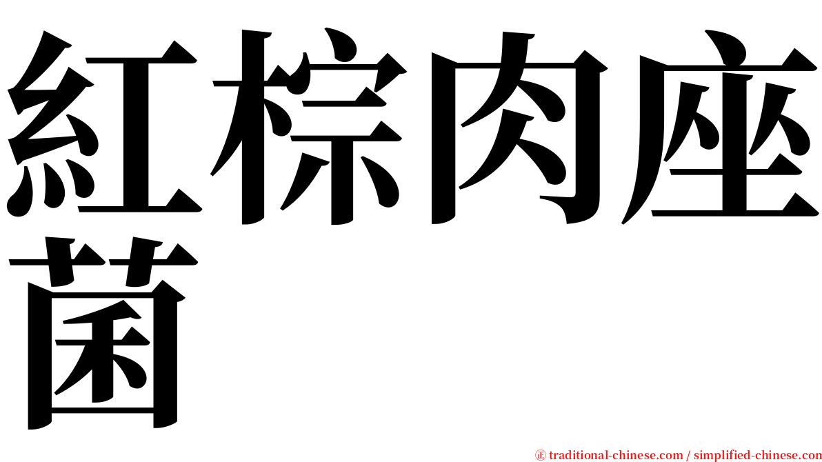 紅棕肉座菌 serif font