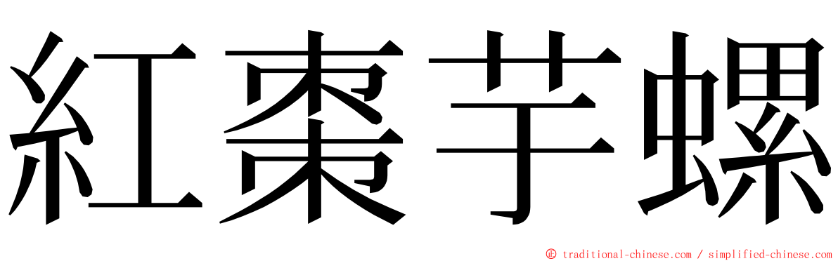 紅棗芋螺 ming font