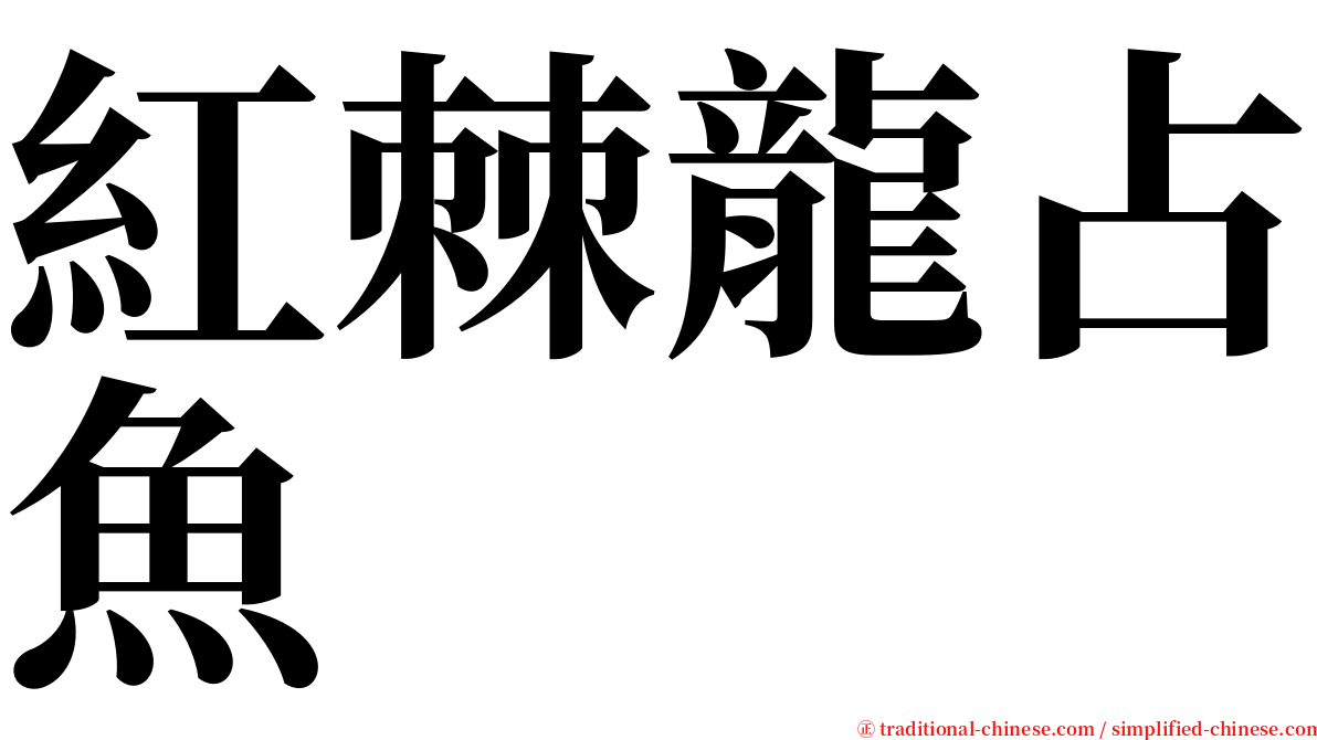 紅棘龍占魚 serif font