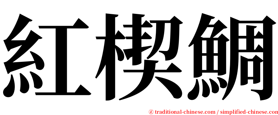 紅楔鯛 serif font