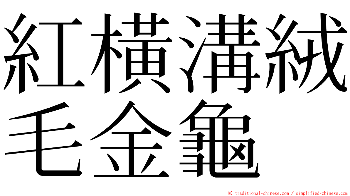 紅橫溝絨毛金龜 ming font