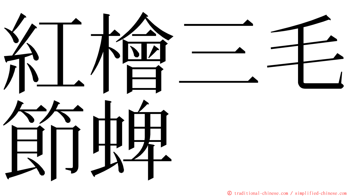 紅檜三毛節蜱 ming font