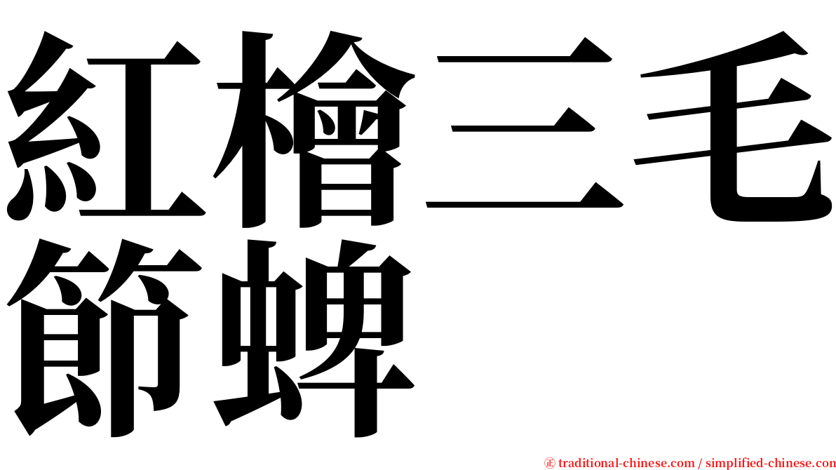 紅檜三毛節蜱 serif font