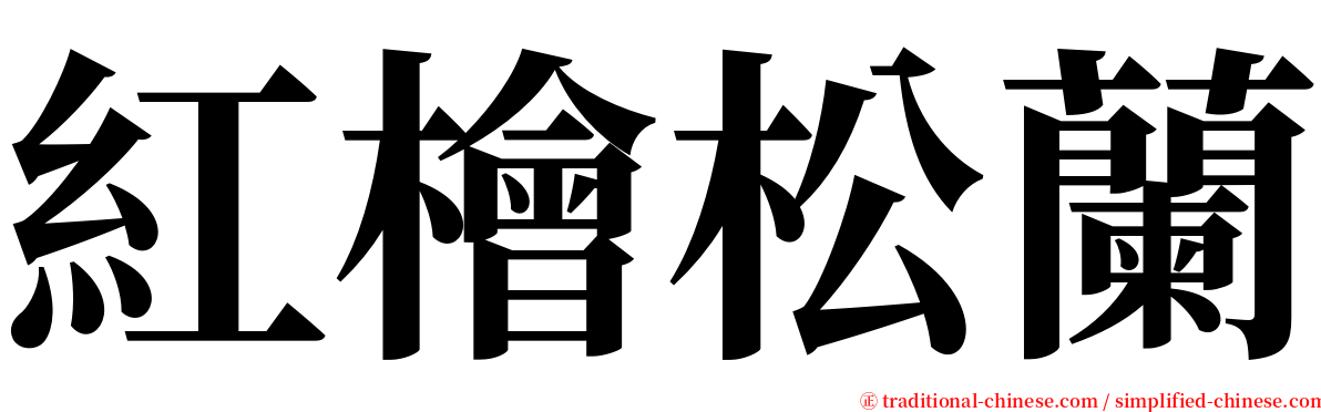 紅檜松蘭 serif font