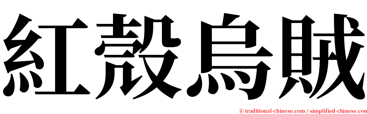 紅殼烏賊 serif font