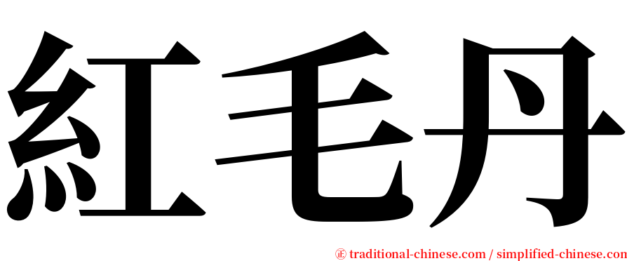 紅毛丹 serif font