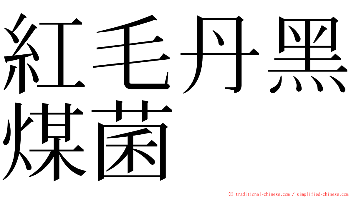 紅毛丹黑煤菌 ming font