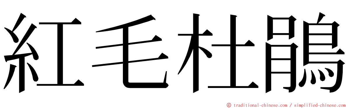 紅毛杜鵑 ming font