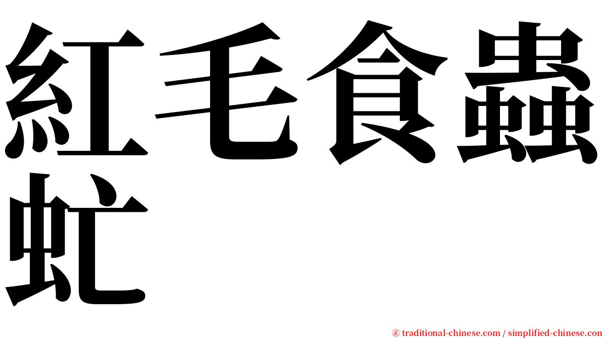 紅毛食蟲虻 serif font