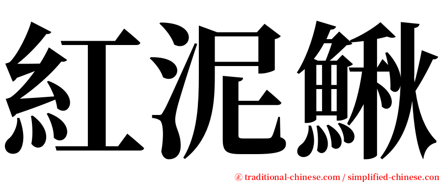 紅泥鰍 serif font