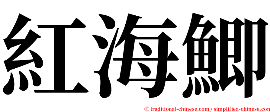 紅海鯽 serif font