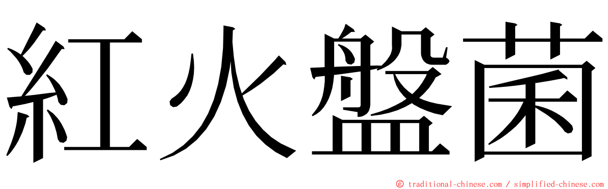 紅火盤菌 ming font