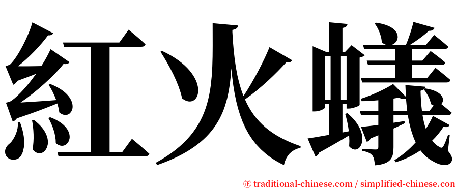 紅火蟻 serif font