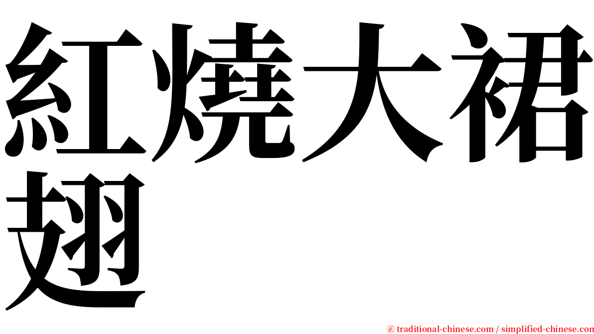 紅燒大裙翅 serif font