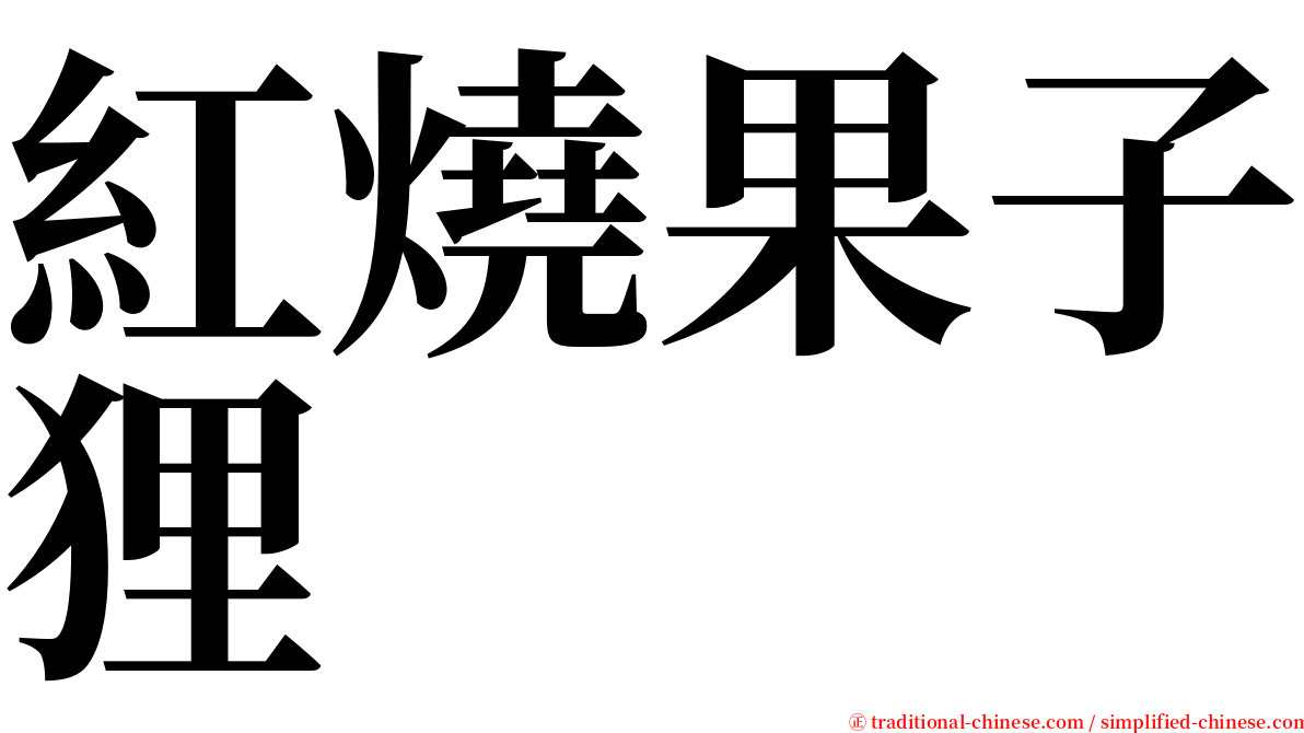 紅燒果子狸 serif font