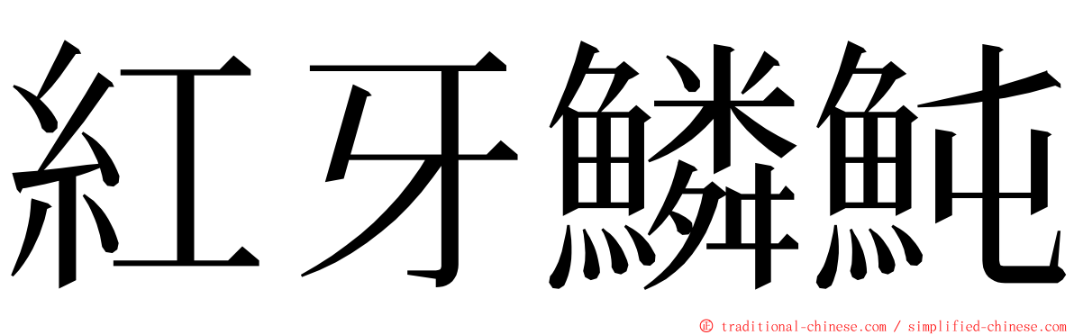 紅牙鱗魨 ming font