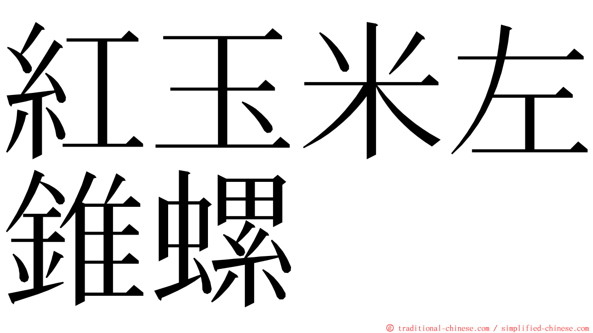 紅玉米左錐螺 ming font