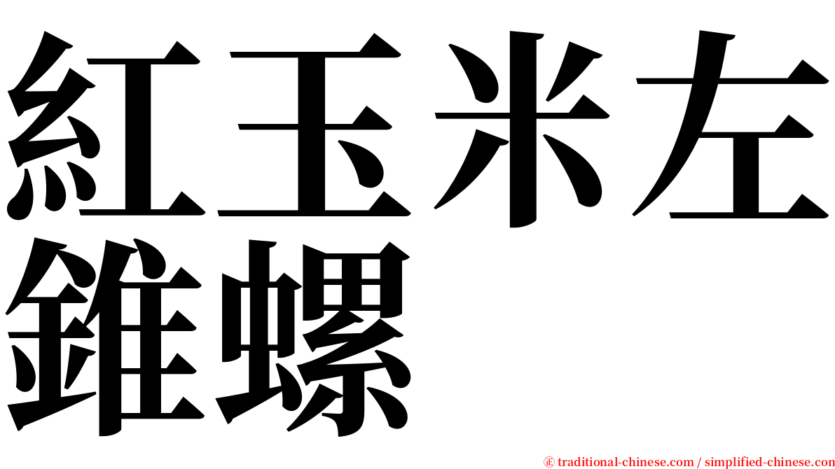 紅玉米左錐螺 serif font