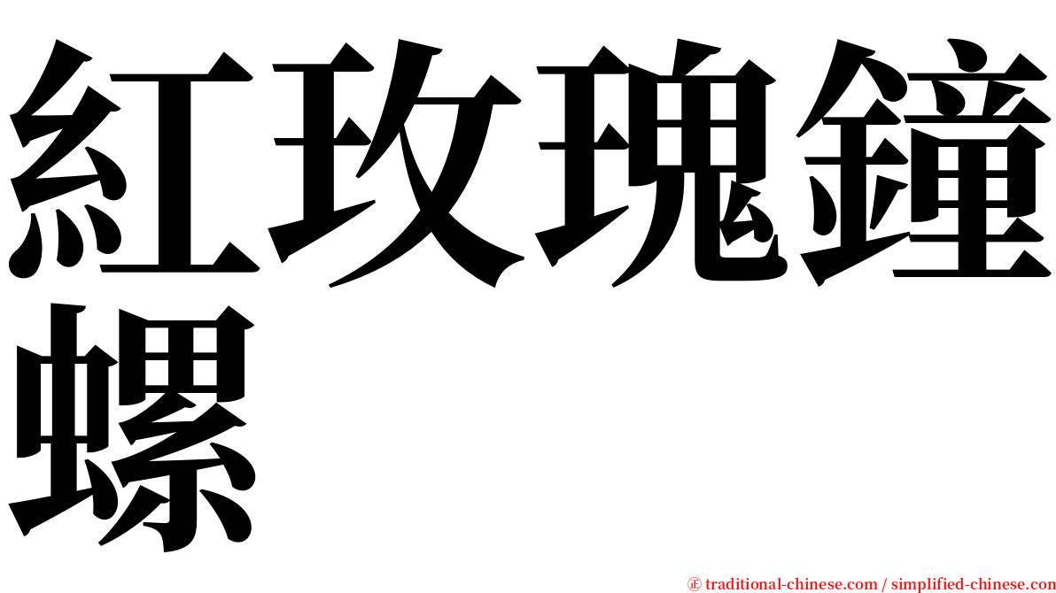 紅玫瑰鐘螺 serif font