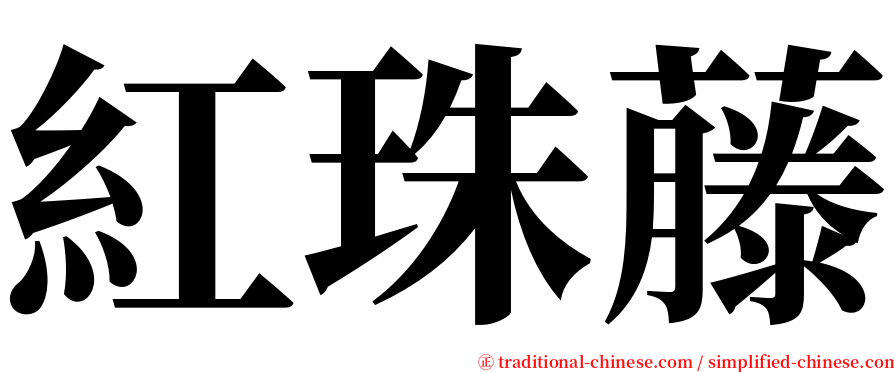 紅珠藤 serif font