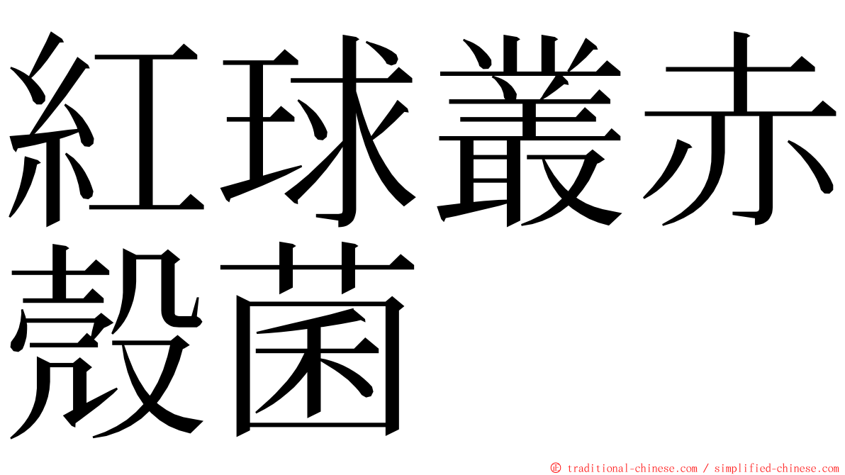 紅球叢赤殼菌 ming font