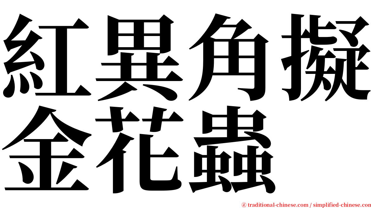 紅異角擬金花蟲 serif font