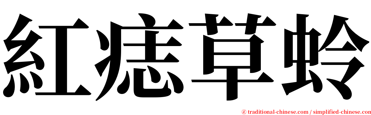 紅痣草蛉 serif font