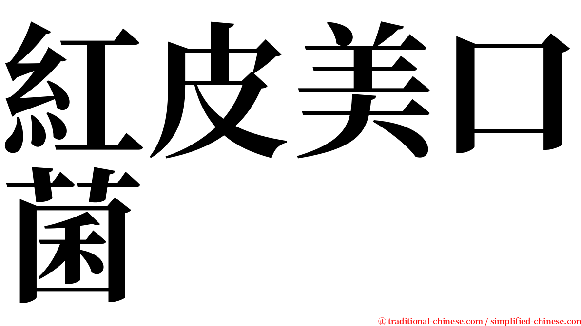 紅皮美口菌 serif font