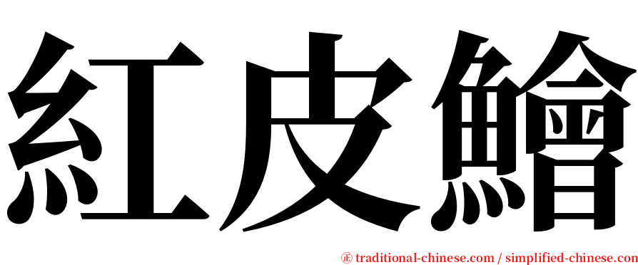 紅皮鱠 serif font