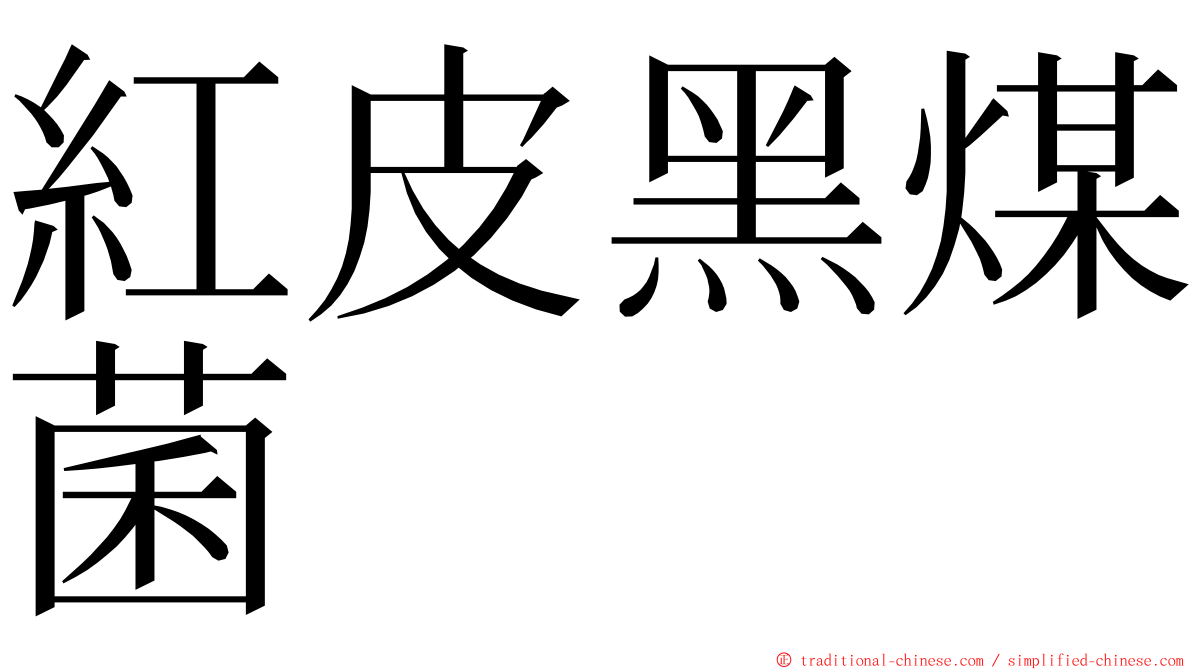 紅皮黑煤菌 ming font