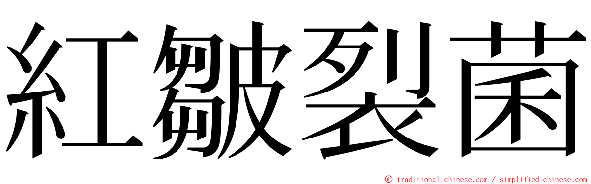 紅皺裂菌 ming font