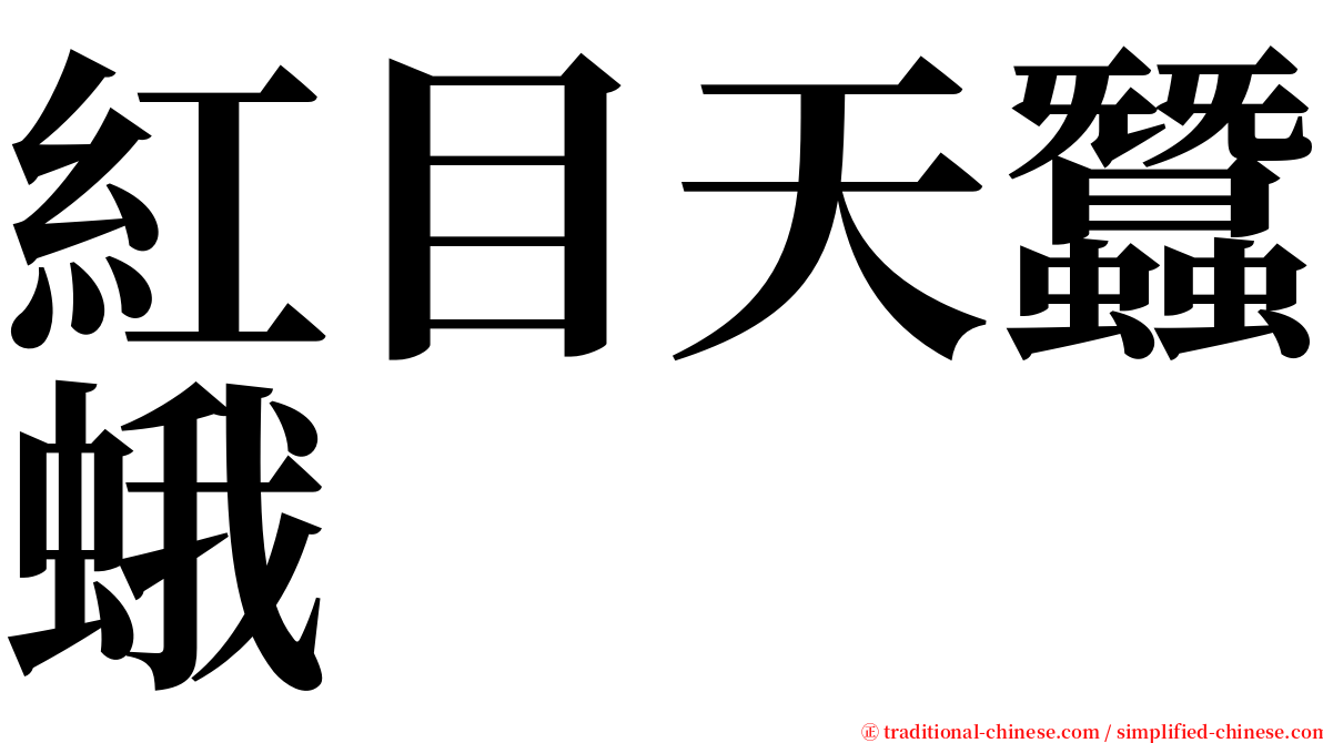 紅目天蠶蛾 serif font