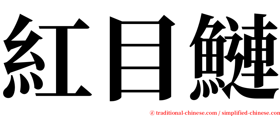 紅目鰱 serif font