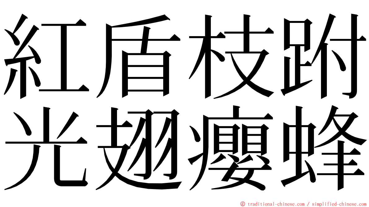 紅盾枝跗光翅癭蜂 ming font