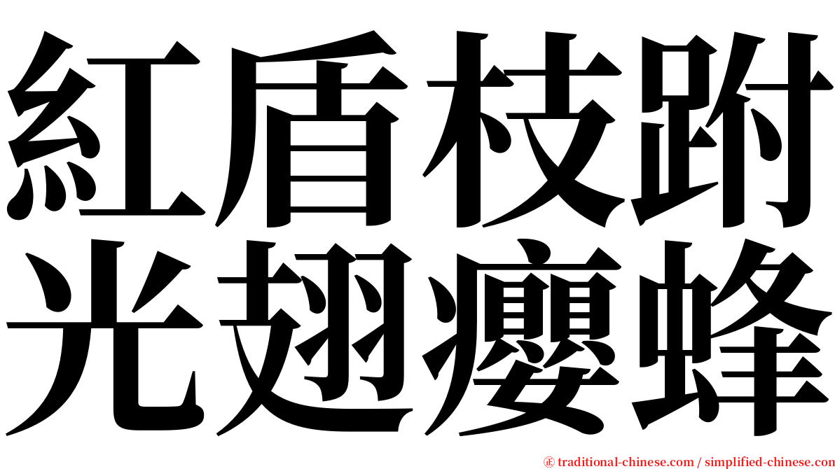 紅盾枝跗光翅癭蜂 serif font