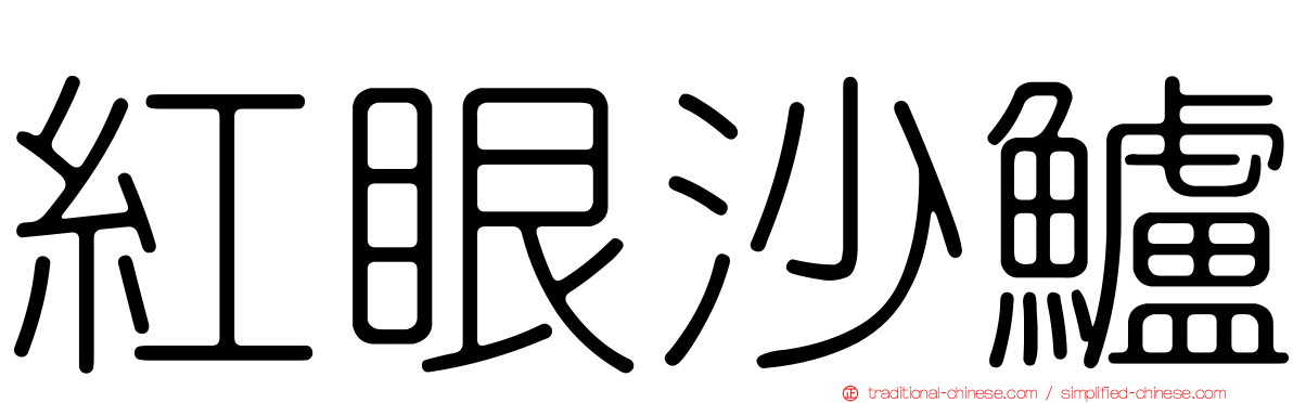 紅眼沙鱸