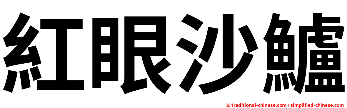 紅眼沙鱸