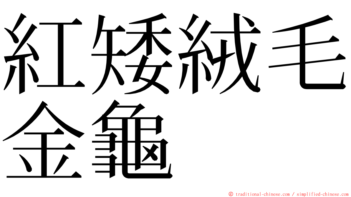 紅矮絨毛金龜 ming font