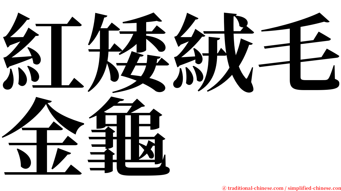 紅矮絨毛金龜 serif font