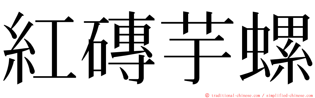 紅磚芋螺 ming font