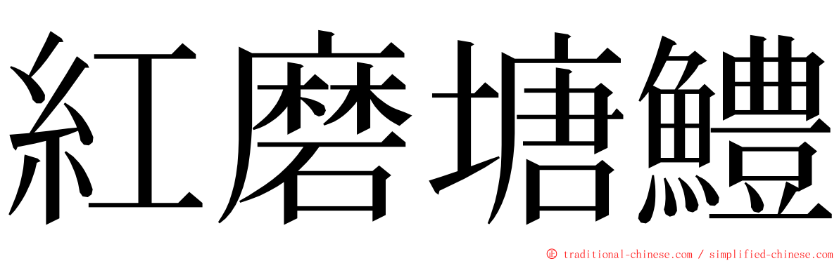 紅磨塘鱧 ming font