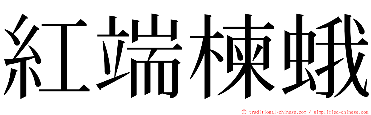 紅端楝蛾 ming font