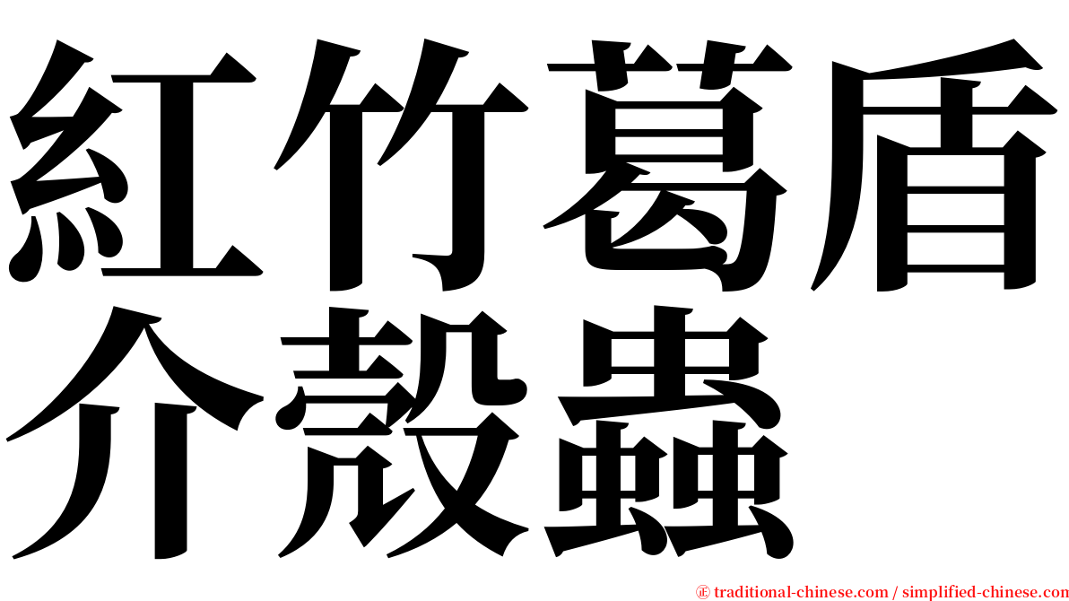紅竹葛盾介殼蟲 serif font