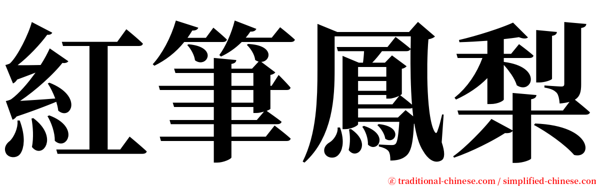 紅筆鳳梨 serif font