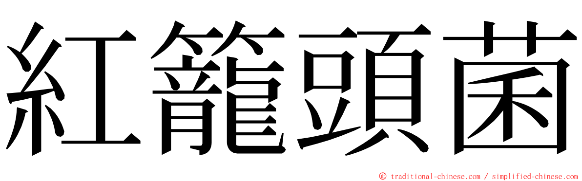 紅籠頭菌 ming font