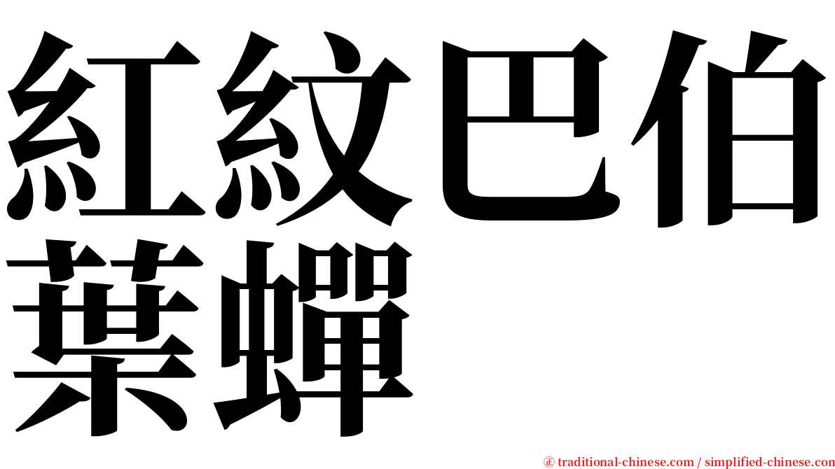 紅紋巴伯葉蟬 serif font