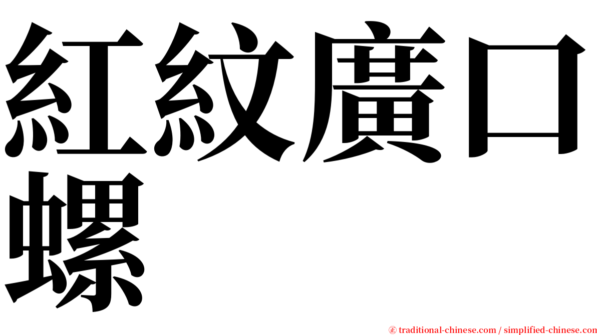 紅紋廣口螺 serif font