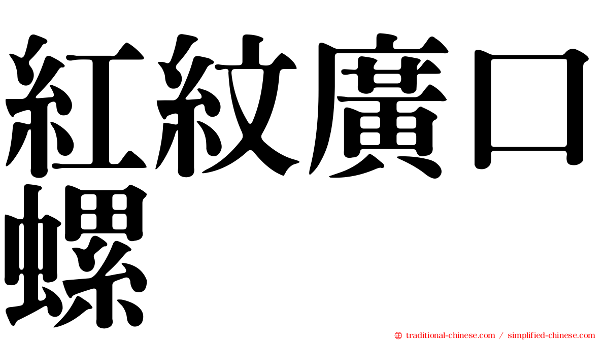 紅紋廣口螺